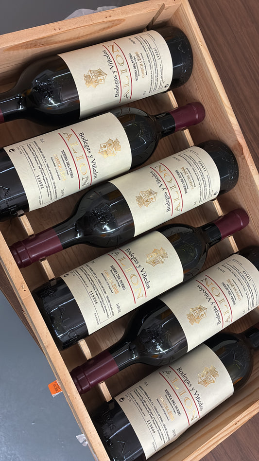2006 Bodegas y Viñedos Alión Ribera del Duero